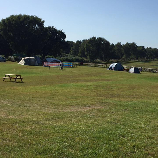 Arland House Campsite, Corfe Castle, Dorset