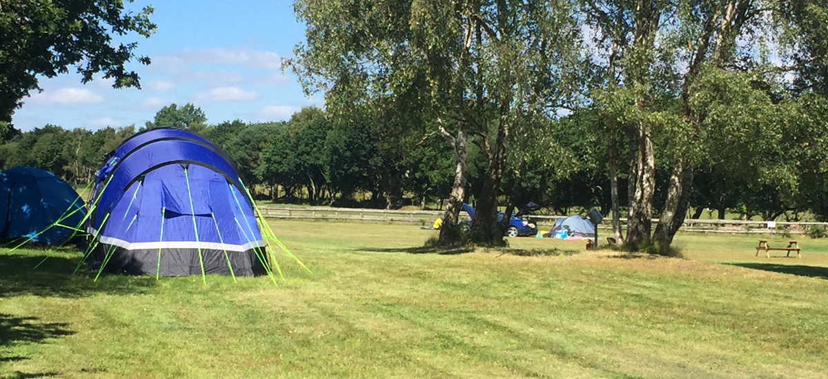Arland House Campsite, Corfe Castle, Dorset